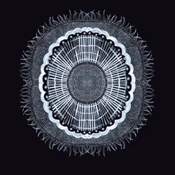 Plant Cell 0.2, 2019 (ペンとインク)