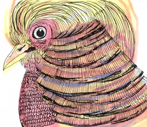 熱帯の鳥、2018年（ペン、インク、水彩）