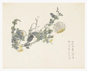 マスタードシードガーデン