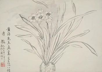 花のアルバム