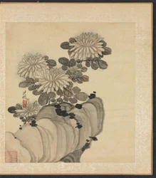 古代の巨匠の後の絵画: 菊と岩