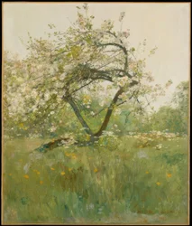 桃の花— Villiers-le-Bel