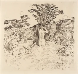 山桜
