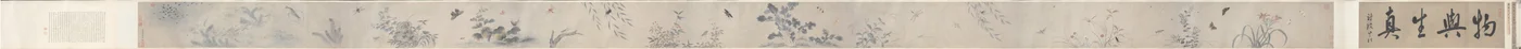 昆虫と花
