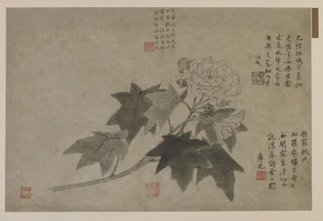 牡丹の枝、おそらく清朝（紙にインク）