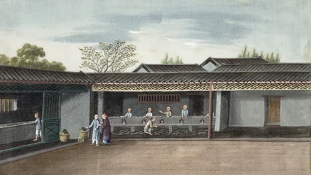 茶葉の乾燥（紙にトイレ）