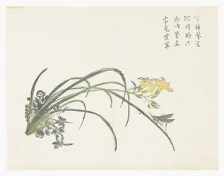 マスタード・シード・ガーデン