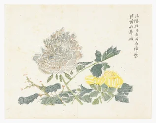 マスタード・シード・ガーデン