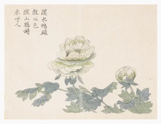 マスタード・シード・ガーデン