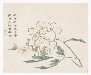 マスタード・シード・ガーデン