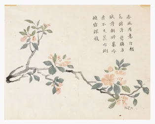 マスタード・シード・ガーデン