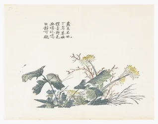 マスタード・シード・ガーデン