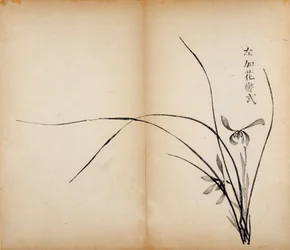 Ten Bamboo Studio Prints、1643（木版）