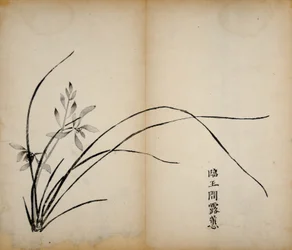 Ten Bamboo Studio Prints、1643（木版）