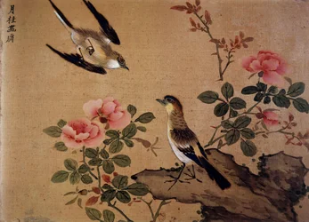不明な画像