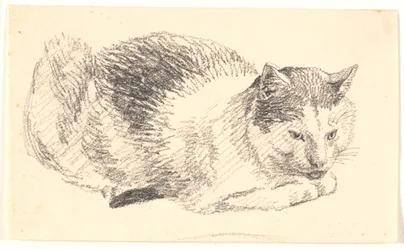 横たわる猫