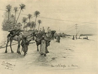 1898年、エジプト、アスワンのナイル川のほとりでラクダ乗り。