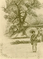日傘をさした女性、長崎、日本、1898年。