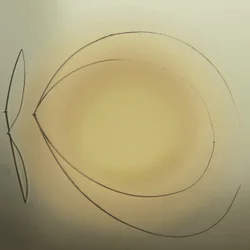 柔らかな黄金色の輝き