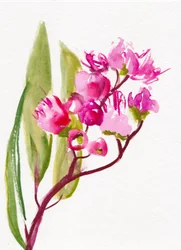 鮮やかなピンクの花