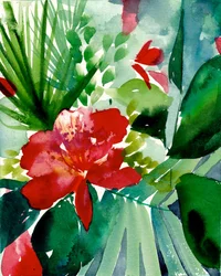 鮮やかな熱帯の花々