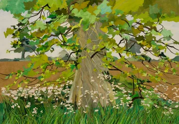 ダーシーの木, 2011 （水彩絵の具で描いた紙のコラージュ）