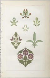 装飾デザインの芸術：付録付き、花が開く日の時間を示す、Day＆Son、ロンドン、1862年発行