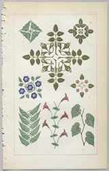 装飾デザインの芸術：付録付き、花が開く日の時間を示す、Day＆Son、ロンドン、1862年発行