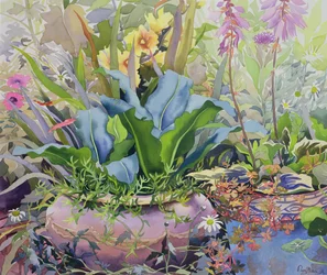 植物のある庭、2000（紙にトイレ）