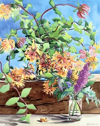 ハニーサックル