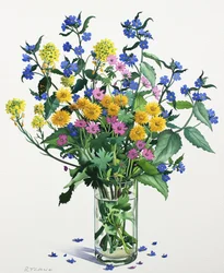野の花とアルカネット、2021年（紙に水彩）