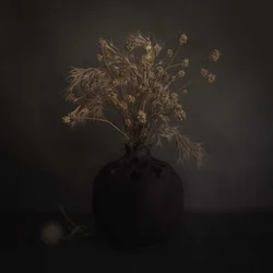 暗い植物のアレンジメント