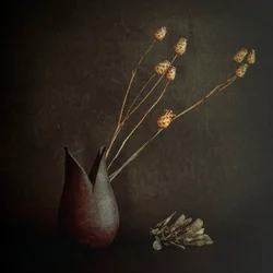 暗い素朴な植物画