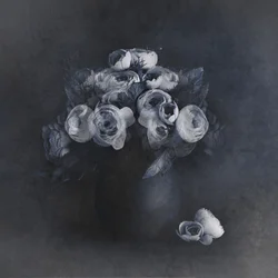 優雅な灰色の花々