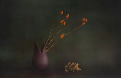 陰影のある植物画の花瓶
