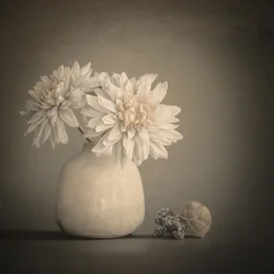 柔らかな花びらと貝殻