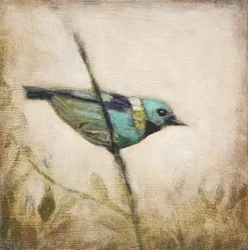 鮮やかなティール色の鳥