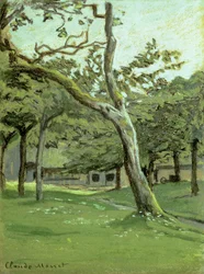 果樹園