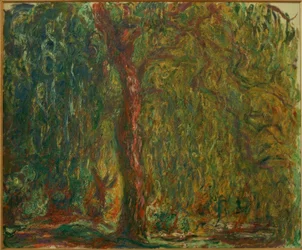 Le Saule pleureur（シダレヤナギ）