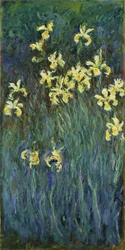 黄色い菖蒲 - クロード・モネ (1840-1926) の絵画、キャンバスに油彩