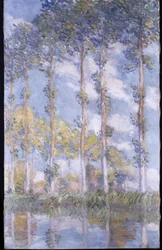 The Poplars