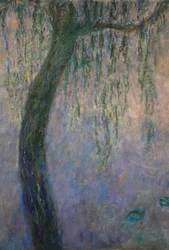 睡蓮（キャンバスに油彩）