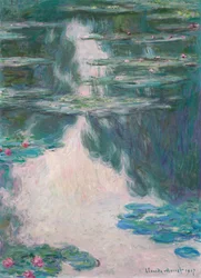 睡蓮、灰色の天気