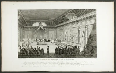ヴェルサイユで開催された著名人の集会（「フランス革命の歴史絵巻」シリーズより