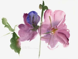 Hollyhocks、1988（水彩）