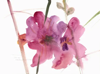 Hollyhocks、1988（水彩）