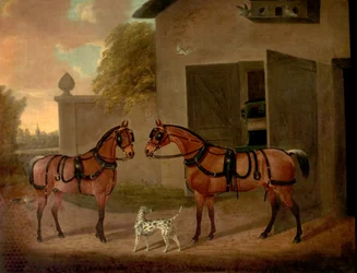 馬車、馬、犬