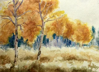 ティトンの秋のアスペンス、2011年（水彩画）