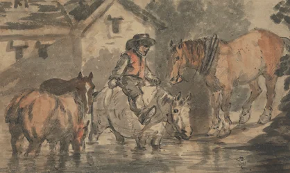 Homem dando água a quatro cavalos