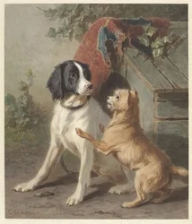 小屋の 2 匹の犬